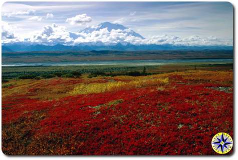 denali national park alaska