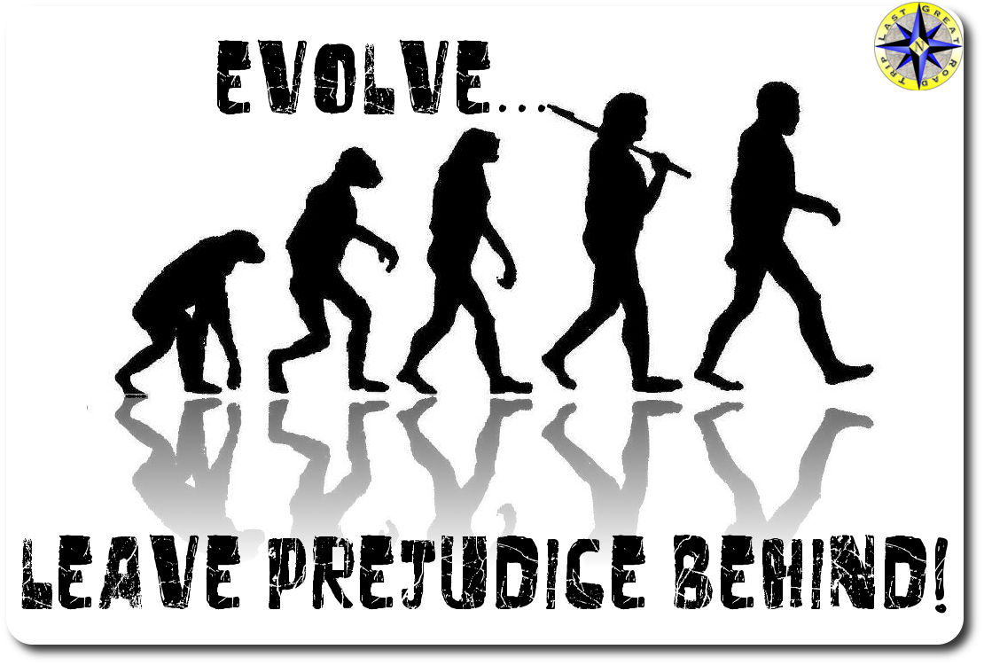 human evolution