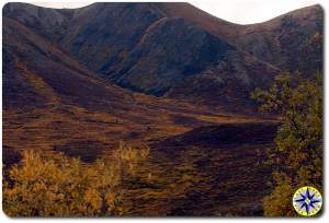 fall colors dempster highway