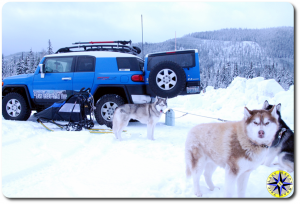 fj cruiser sled dogs