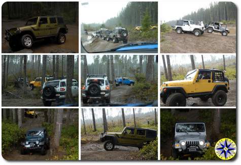jeeps and FJ Cruiser tahuya 4x4 trails
