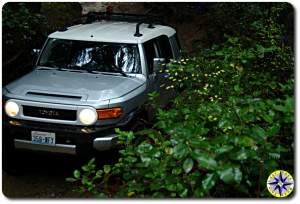 silver toyota fj cruiser 4x4 trail bushes