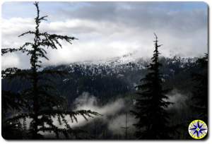 snow covered hills tree view