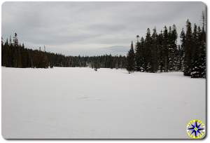 snow covered meadow