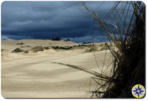 florence sand dunes