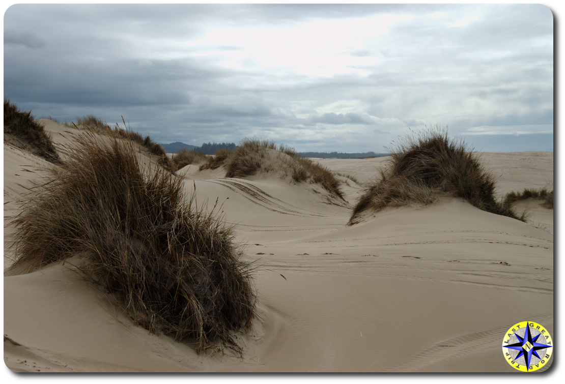 florence oregon dunes