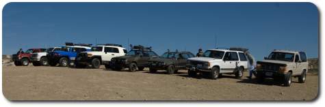 the line up