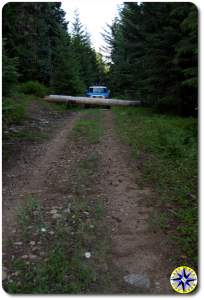 tree blocking two track 4x4 trail