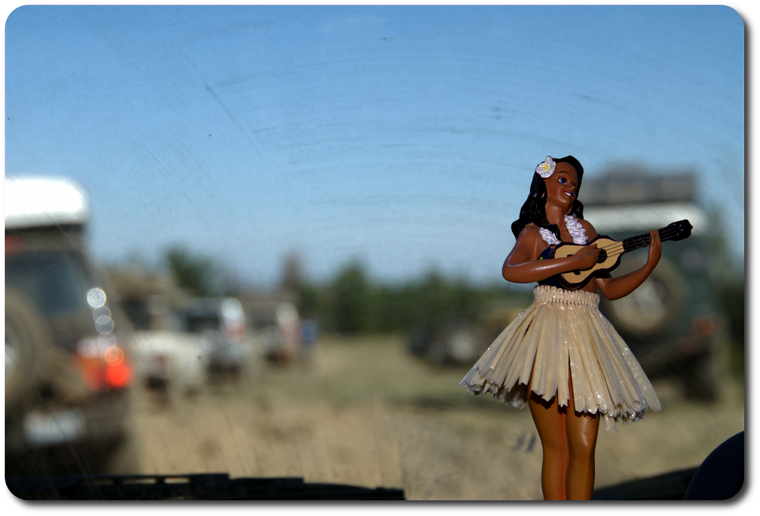 Hula Betty