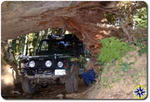 defender 90 under Ceder Tree