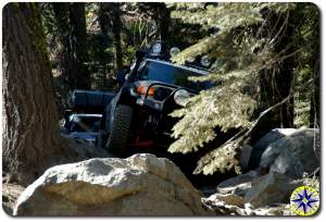 fj cruisers In rubicon trail trees