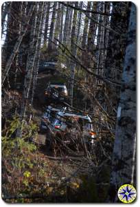 4 fj cruisers tillimook forest in woods