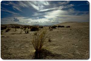 white sand desert blue sky