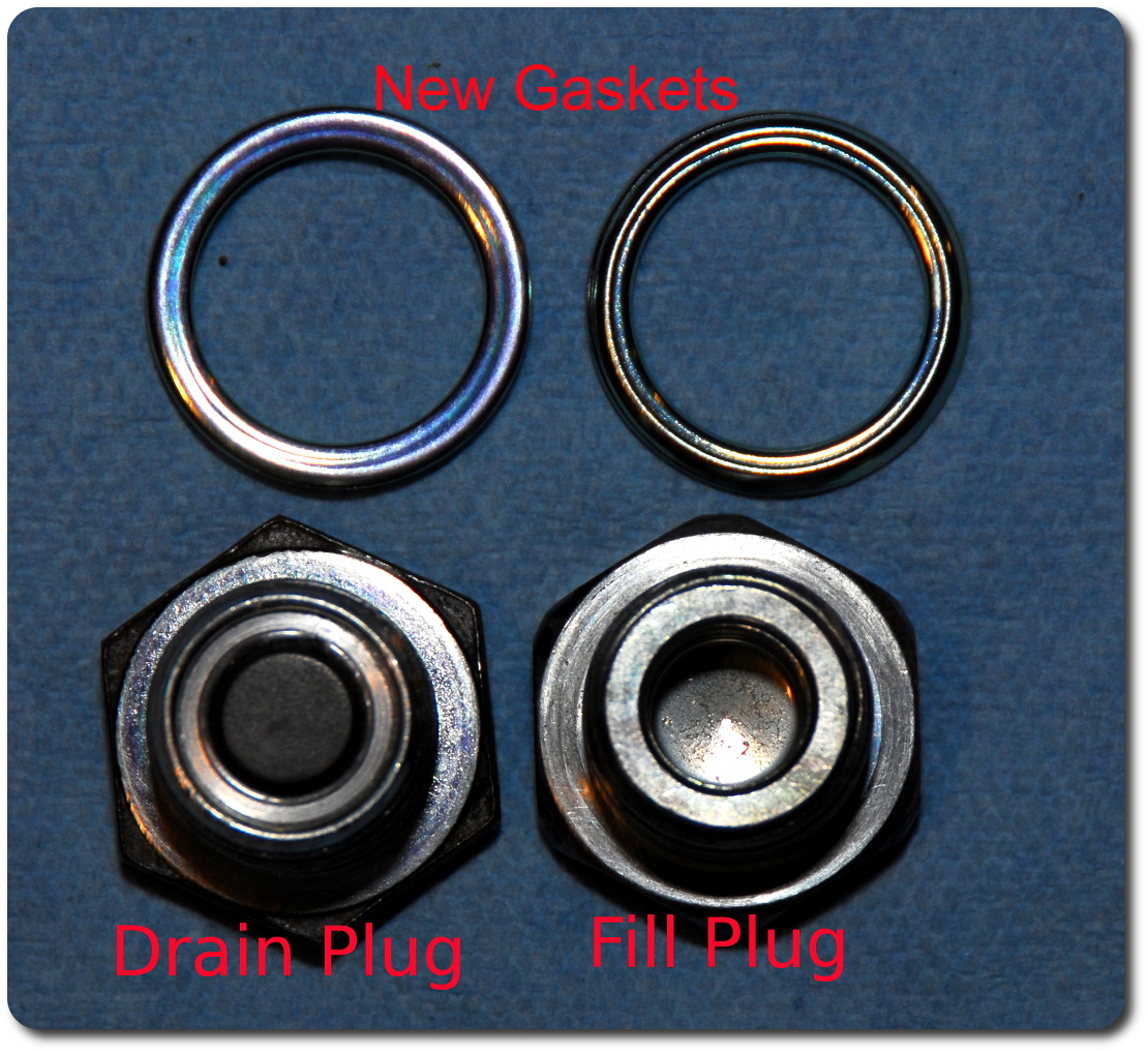 cleaned rear differential plugs