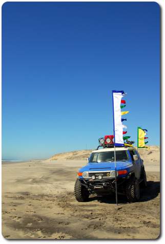 blue bunny on beach