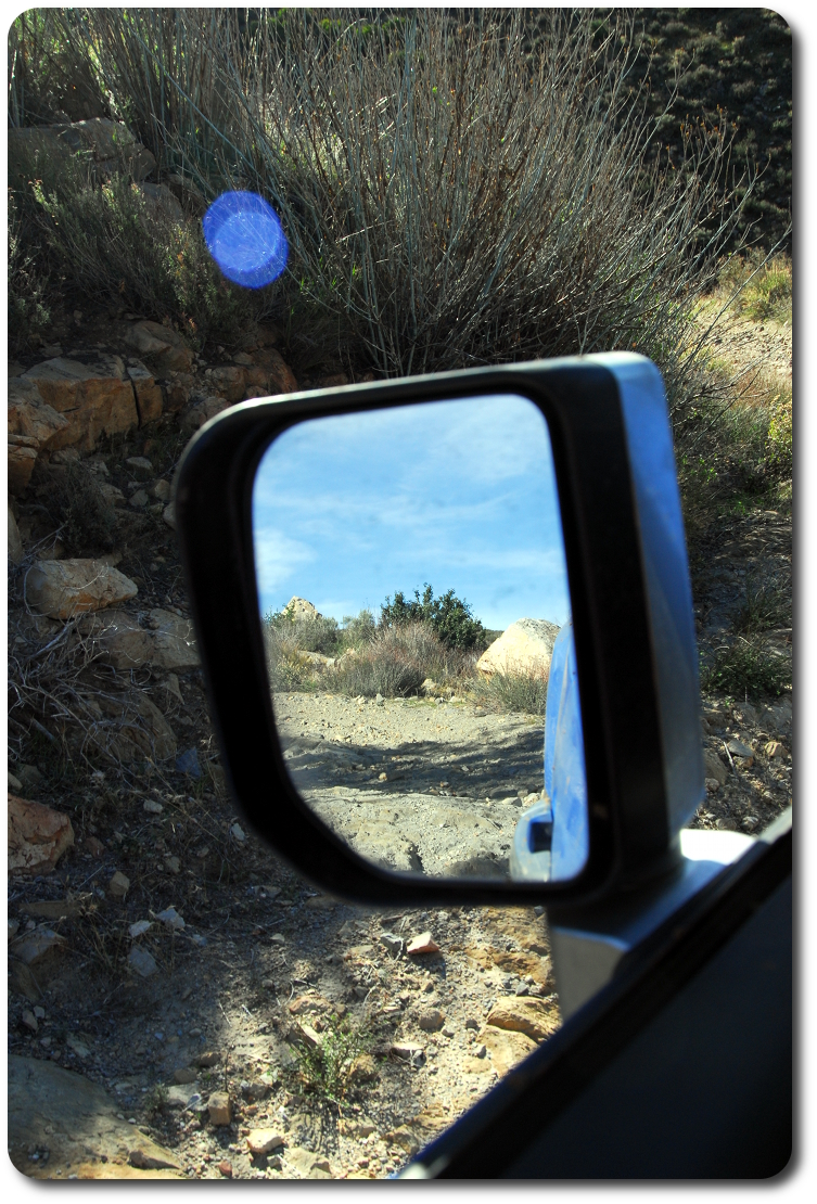 fj cruiser mirror view