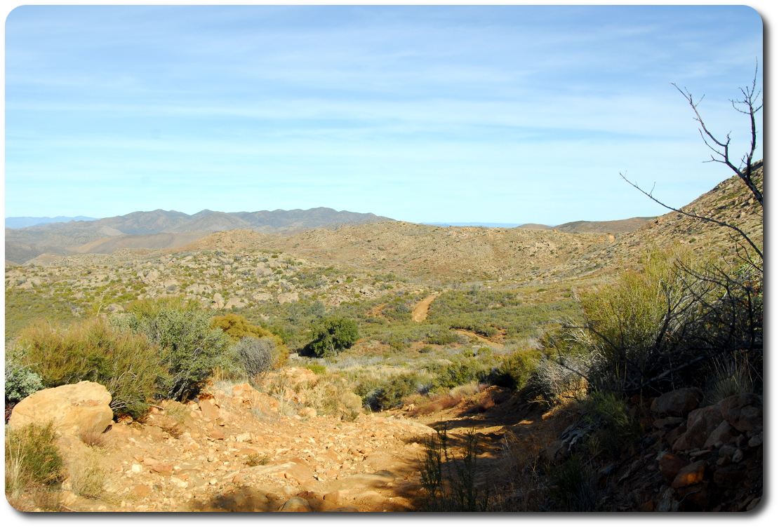 baja 1000 race course