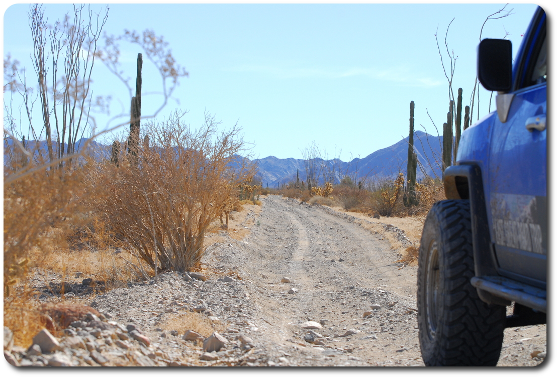 fj cruiser in baja