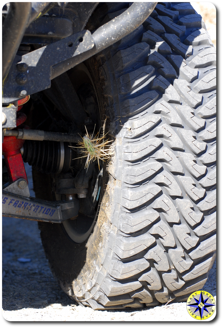 cactus stuck in toyo open country tire