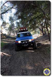 toyota fj cruiser baja trees