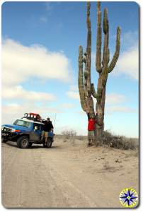 two men fj cruiser tall cactus baja mexico