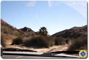 baja mexico stream trail forks