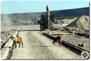 baja mexico road work and goats crossing