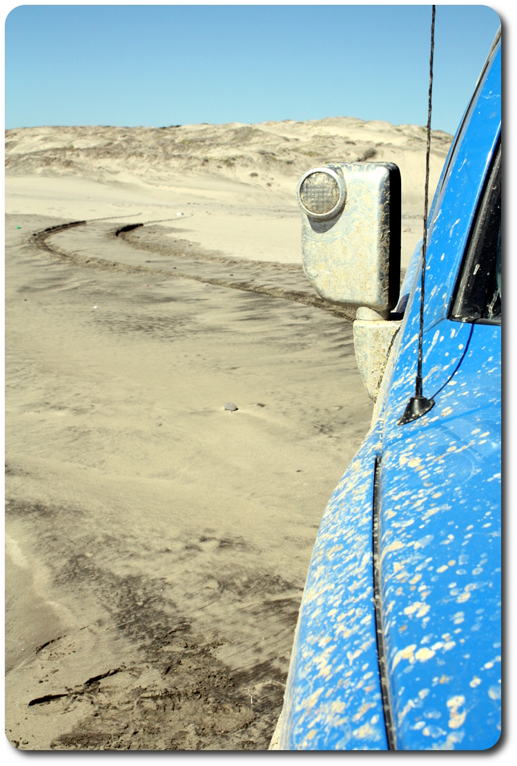tire track in baja beach sand