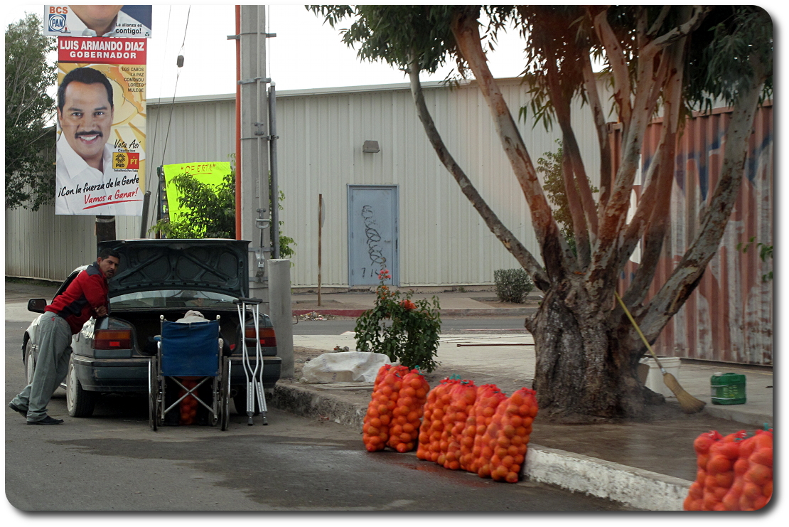 oranges for sale