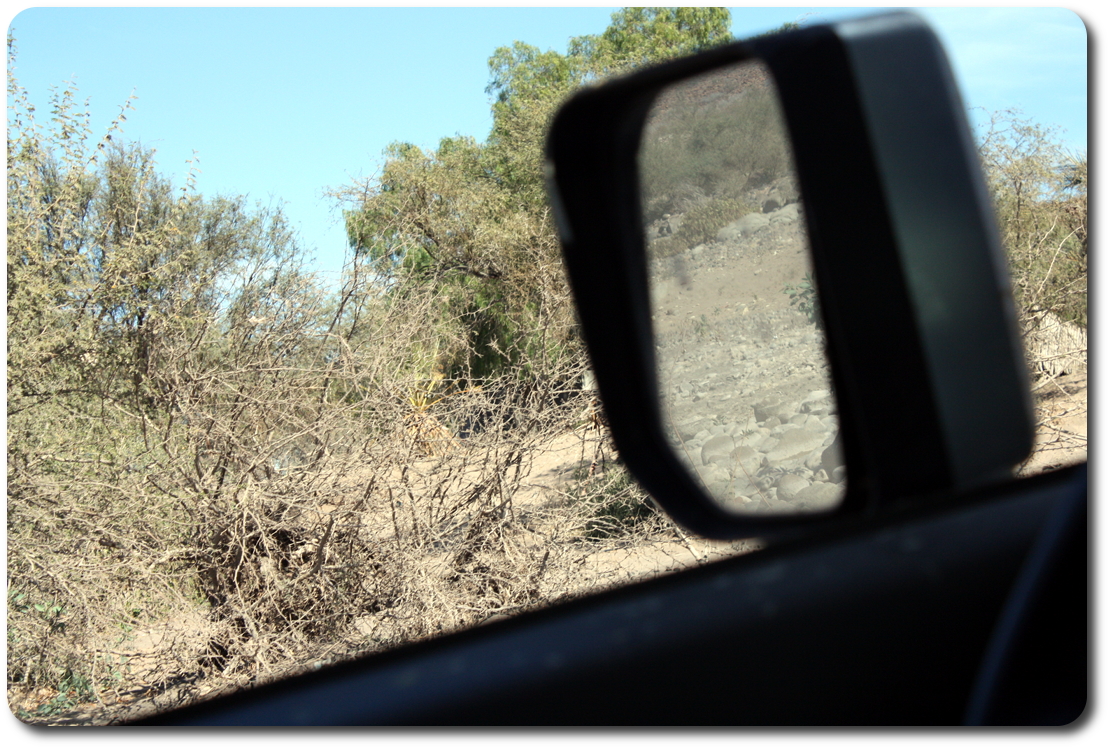 baja out the window