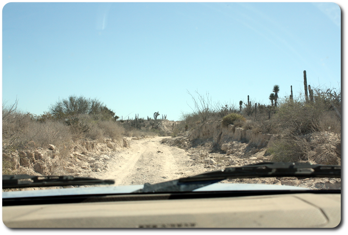 baja 1000 trail