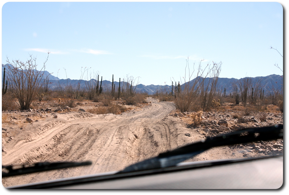 baja seen through windshield