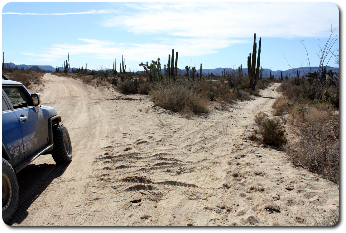 baja trail choices