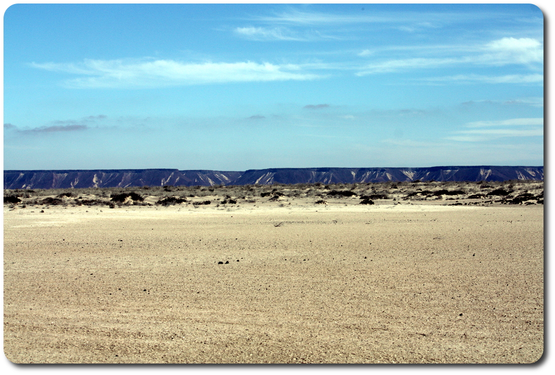 dry baja marsh
