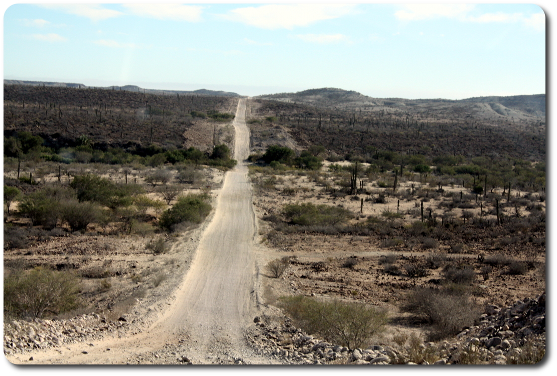 long straight baja road