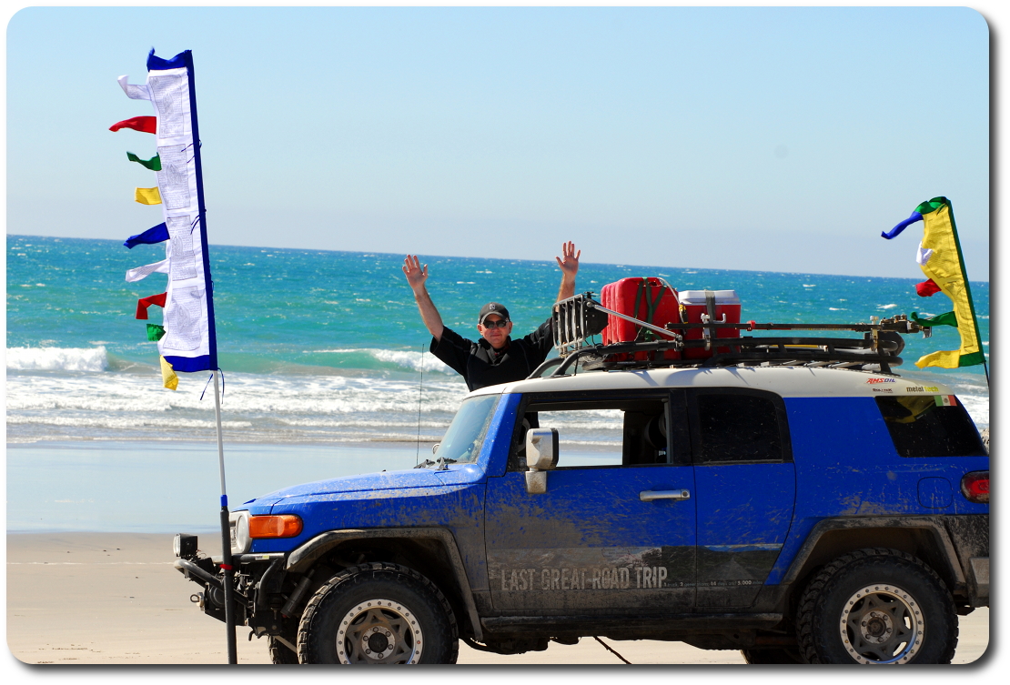 Brad baja beach blue bunny