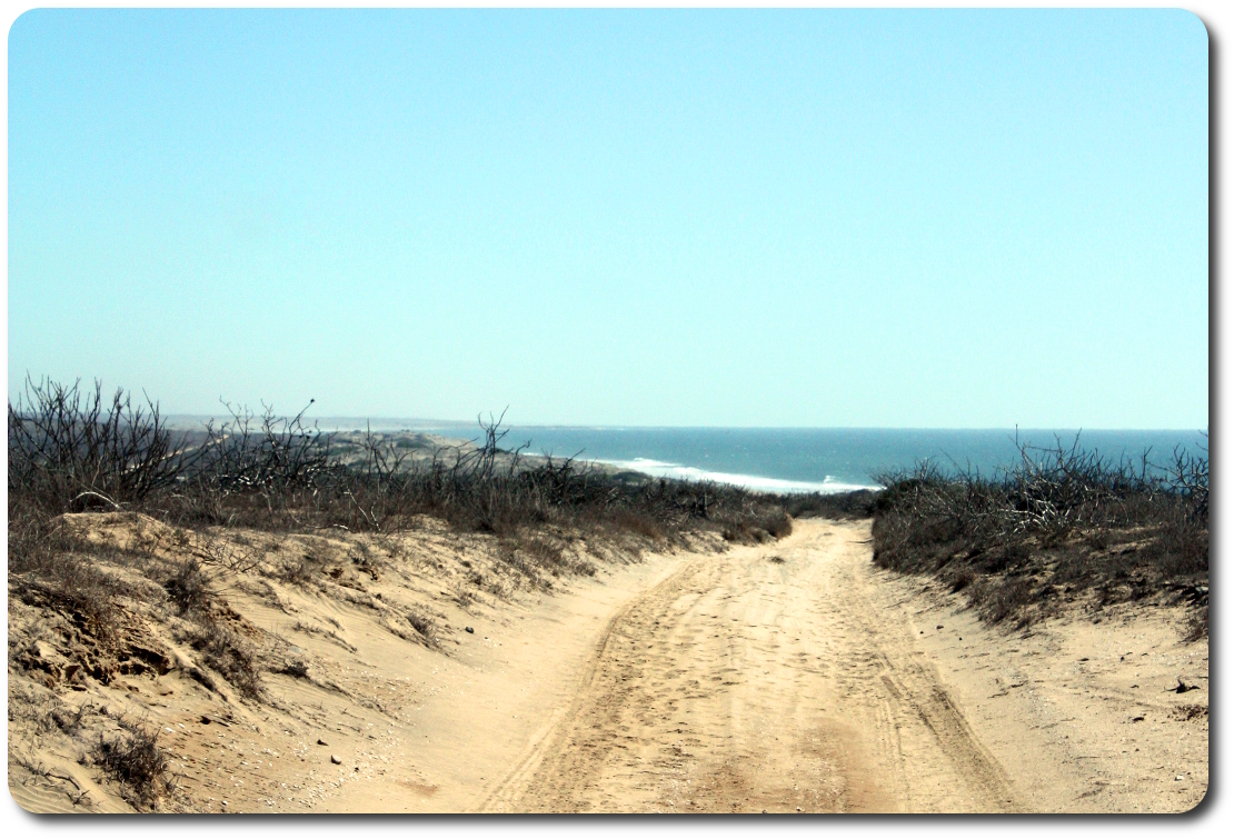pacific ocean from bajb dunes