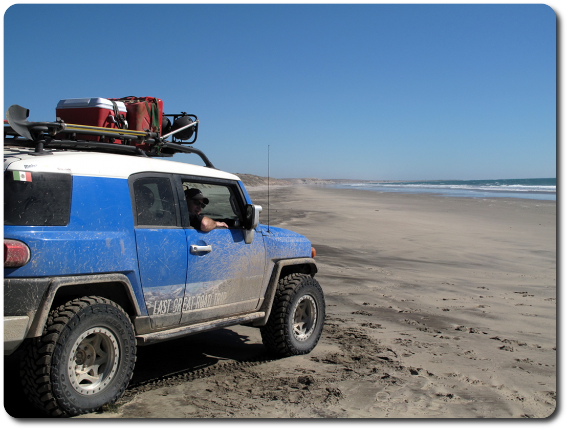 blue bunny baja beach