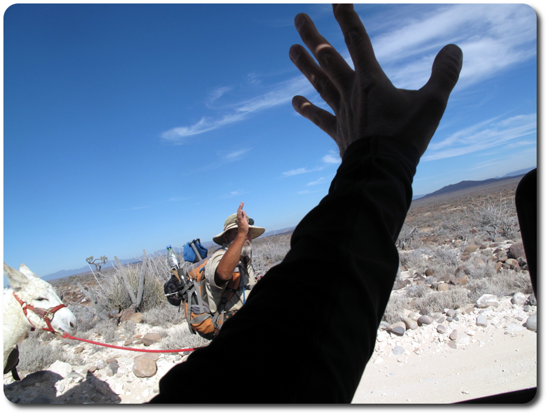miner waving