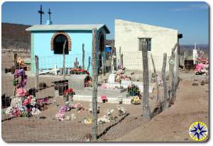 baja mexico cemetary plastic flowers