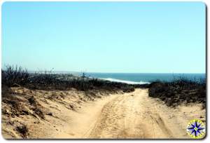 pacific ocean view from dunes