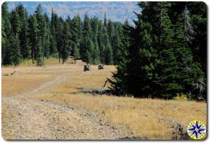 driving two-track trail