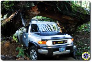 FJ Cruiser under ceder tree