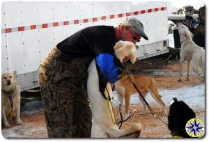 musher and sled dogs