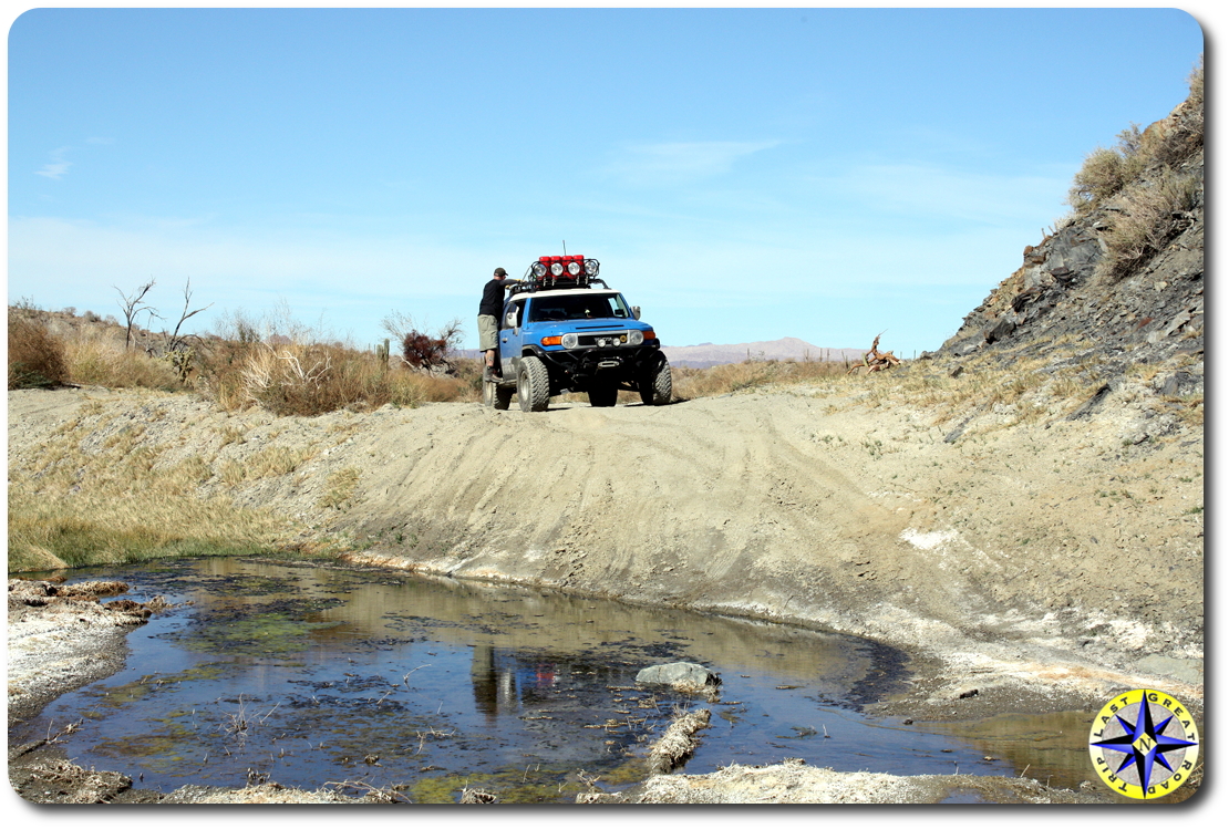 baja swamp