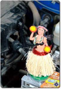 Hula Betty