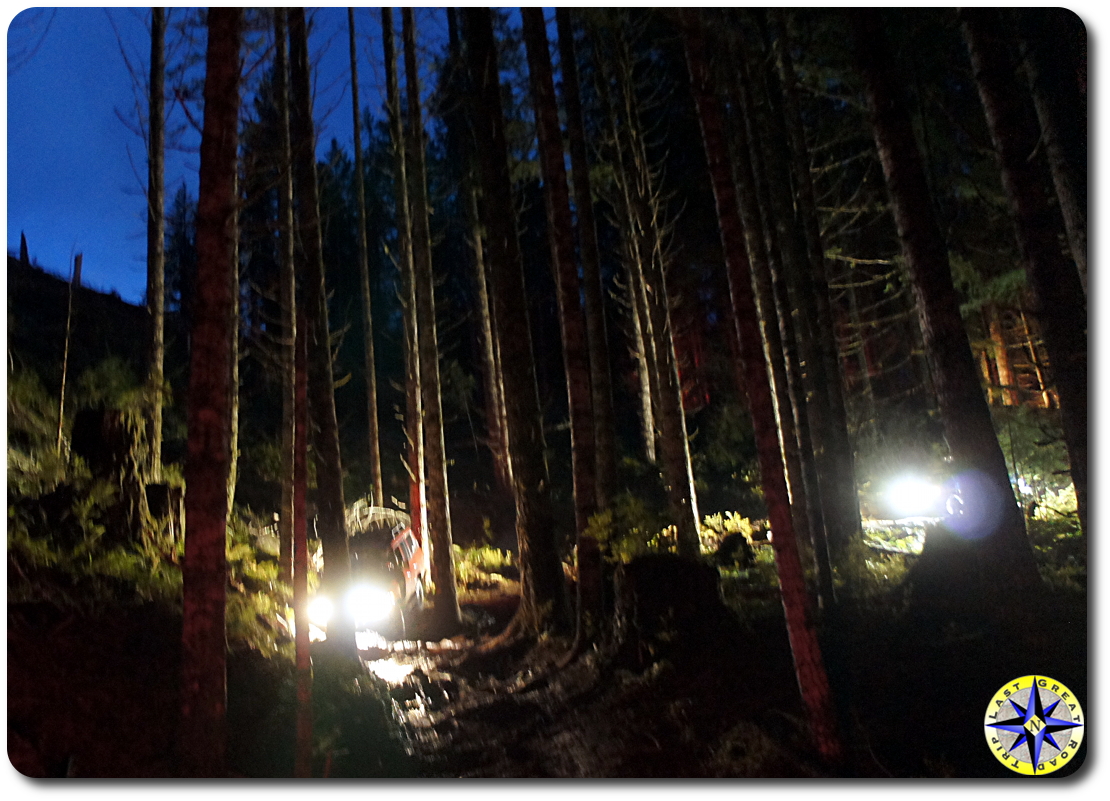 truck lights in woods