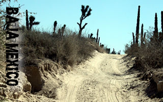 baja mexico off road adventure