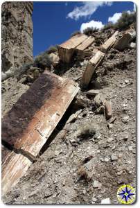 rock slabs