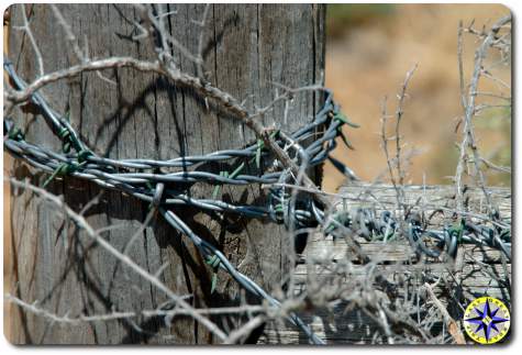 barbed wire wrapped fence post